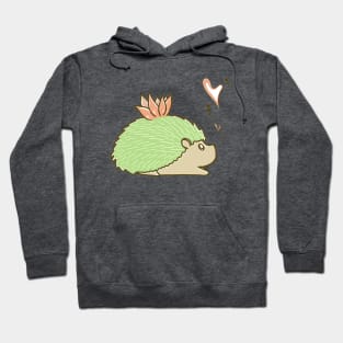 Succulent hedgehog Hoodie